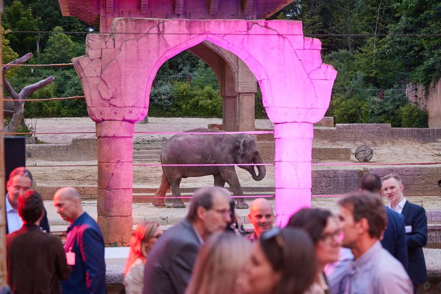 Der Sommerempfang im Dschungelpalast des Erlebnis Zoo Hannover.