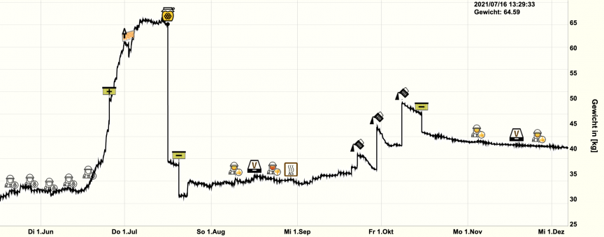 Jahresüberblick des Bienenstocks