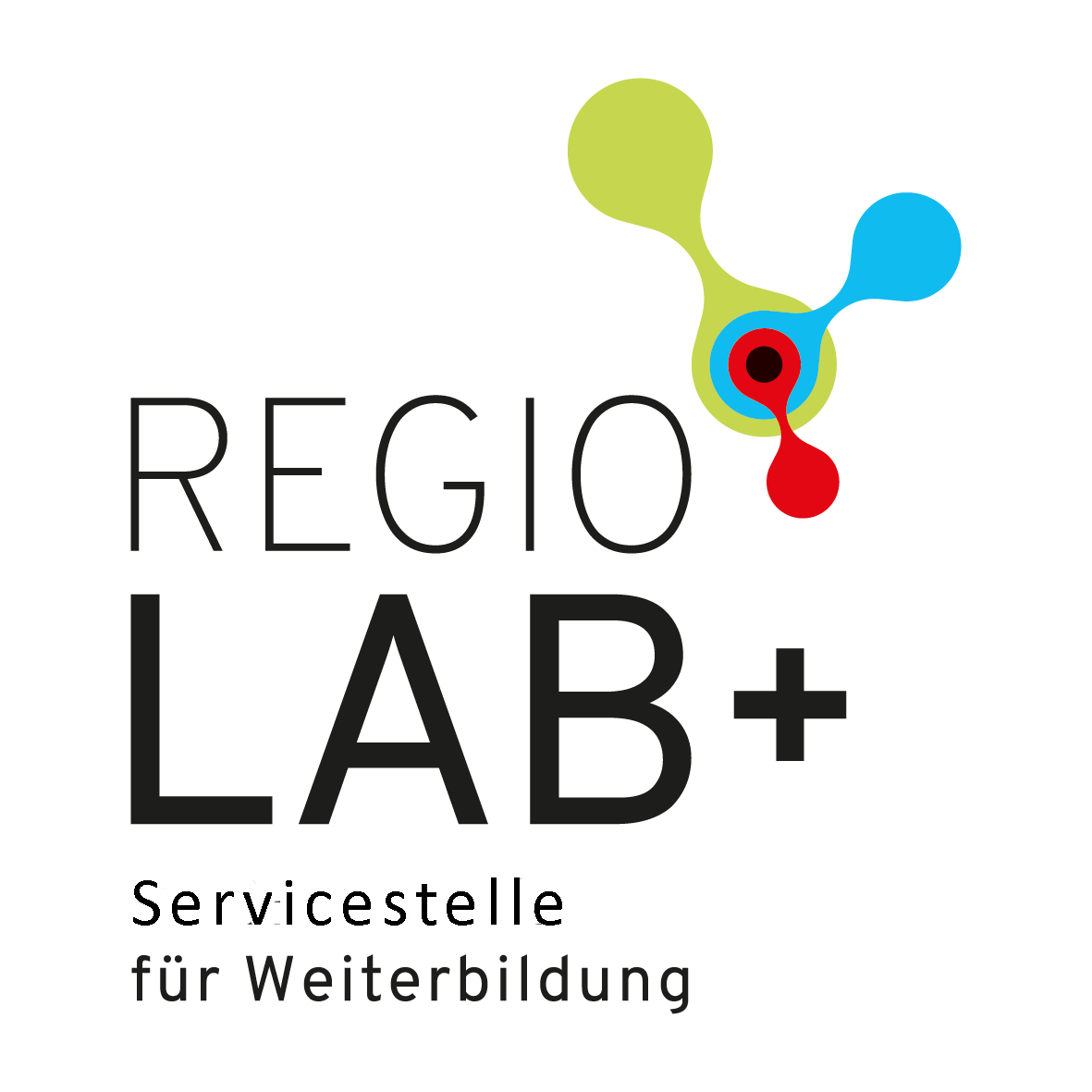 Logo von regioLab+